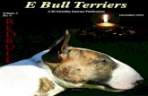 December E Bull Terriers 2010