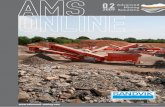 AMS-Online Issue 02/2009