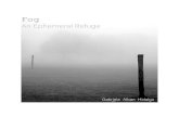 Fog - An Ephemeral Refuge