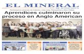 Revista El Mineral