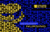 Nursing programme on College of nursing in Celje