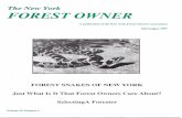The New York Forest Owner - Volume 35 Number 4