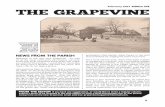 Grapevine Magazine Feb 2013