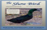 The Show Bird : Issue 1