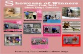 Showcase of Winner March 19th 2013