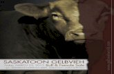 2012 Saskatoon Gelbvieh Bull & Female Sale