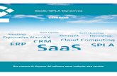 SaaS / SPLA Dynamics