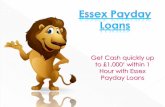 Essex Payday Loans