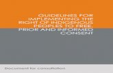 IBIS 2013 - Guidelines Free, Prior and Informed Consent