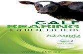NZAgBiz 2012 Calf Guidebook