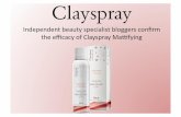 Independent beauty specialist bloggers confirm the efficacy of clayspray mattifying