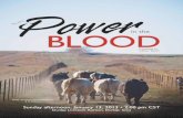 Power in the Blood 2013