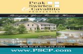 Peaks Swirles & cavallito Properties v3n6A