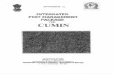 Integrated Pest Management Package For Cumin,NCIPM