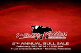 Platte Valley Simmentals - 5th Annual Bull Sale