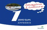 Imagine Lismore One Year Plan Appendix