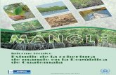 Estudio de la cobertura de mangle en guatemala final