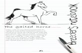 A Breeder's Notebook: The Gaited Horse. Show Horse July 2009