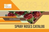 Denmar Spray Roses Catalog 2013-2014