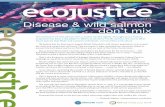Ecojustice Summer 2013 newsletter