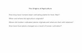 origins of agriculure