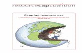 Resource Cap Coalition brochure