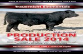 Trauernicht bull catalog 2014