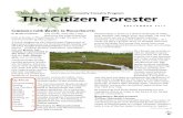 Citizen Forester, September 2013