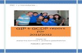 AIESEC Slovakia_ GIP & GCDP report 2011/2012