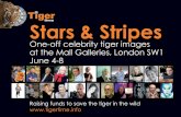 Stars and Stripes Celebrity Tiger Postcard Magazine