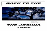 Reflections on the Joshua Tree