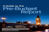 Pre-Budget Report Guide