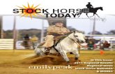 Stock Horse Today Feb 2012