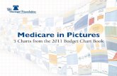 Medicare In Pictures: 5 Charts From The 2011 Budget Chart Book