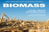 Biomass Magazine - March 2010