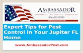 Pest Control Jupiter Expert Tips