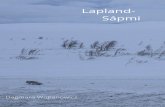 Wojtanowicz Dagmara- my journey to Lapland