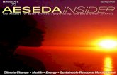 AESEDA Insider - Spring 2009