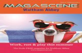 Magascene Waltham Abbey Summer 2014