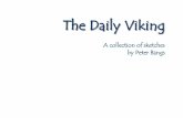 The Viking Book