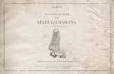 Selected Work of LuigiLacsamana