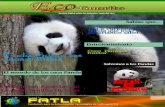 Eco-Guarito magazine: Los Osos pandas