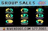 Charleston RiverDogs Group Sales