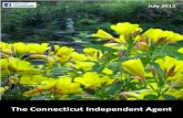 The Connecticut Independent Agent - 07-01-12