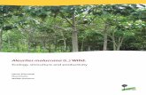 Aleurites moluccana (L.) Willd.: Ecology, silviculture and productivity