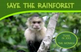 Save the rainforest