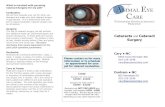 AEC NC Cataract brochure
