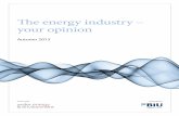 Energy Industry - your opnion