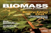 Biomass Power & Thermal - January 2011