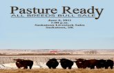 Pasture Ready Bull Sale 2011